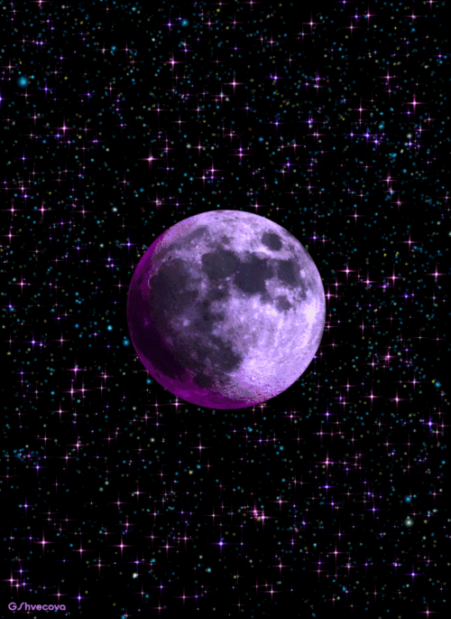 540_740竖版 竖屏gif 动态图 动图