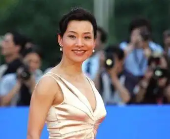 (巩俐个人资料简介(身高/生日/年龄))巩俐简介和个人资料-云诚百科