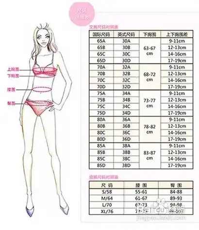进身高一米五五,上胸围82,下胸围63什么罩杯的