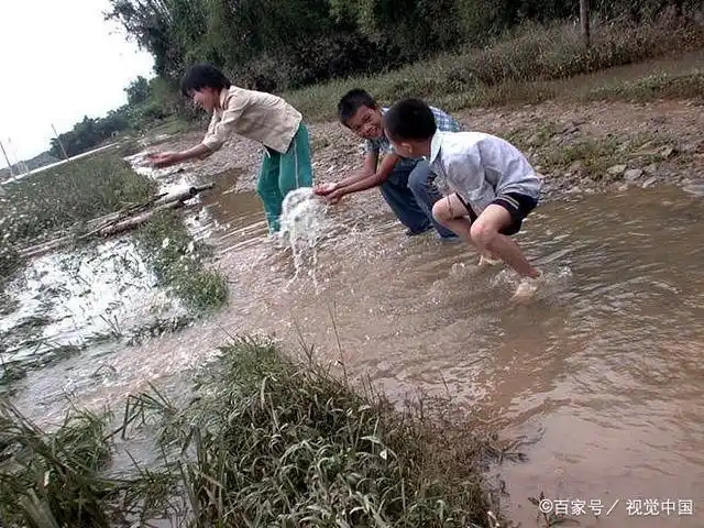 搬鱼:70后皖北农村娃的童年趣事