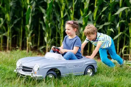 两个快乐的孩子在夏日花园里玩耍,在户外.男孩开车,小女孩在车里.