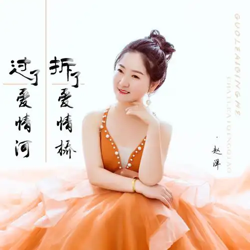 赵洋过了爱情河拆了爱情桥最新伤感dj版