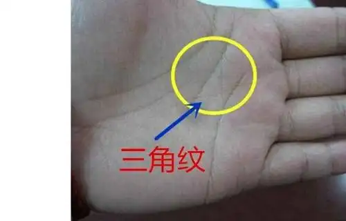 3,手型非常漂亮,生命线较长没有其它杂纹阻碍,感情线的周围有细小的