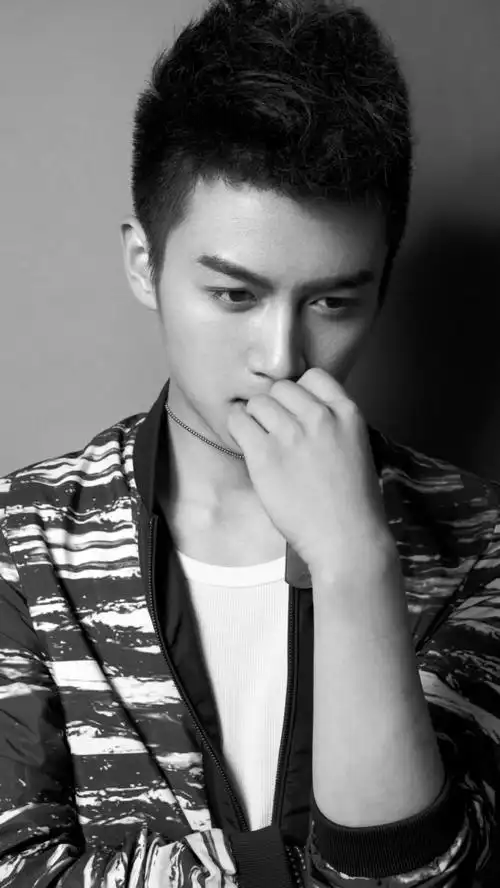 陈晓灰白写真iphone5手机壁纸