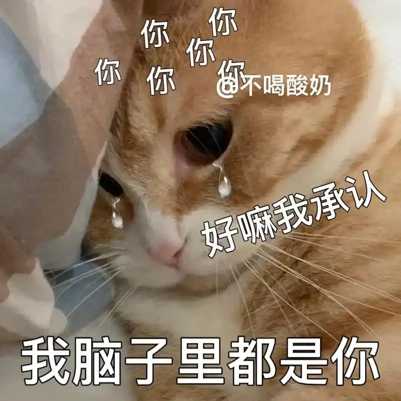 好嘛我承认 我脑子里都是你#表情包 #猫咪表情包 #艾特你对 - 抖音
