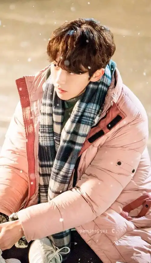 南柱赫《举重妖精金福珠》帅气男朋友剧照图片