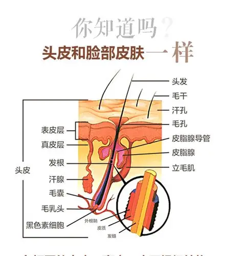 专业护理头皮头发我用头道汤家居三宝套装99元限时抢购即将开始