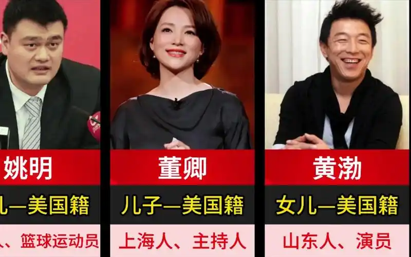 子女是外国籍的12位明星