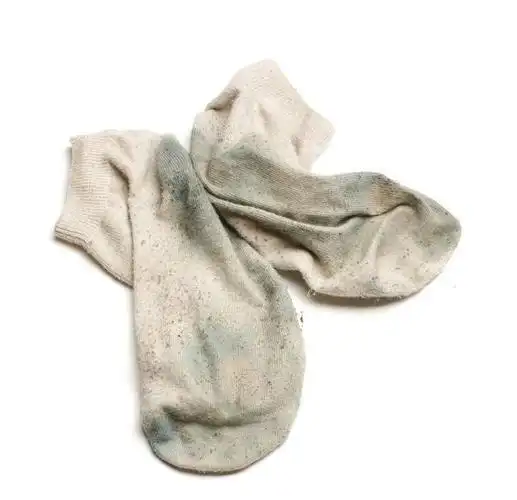 脏内裤臭袜子扔的到处都是除了我谁还能忍受你