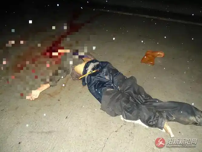 许,在106国道阳新县龙港镇田铺村路段发生一起交通事故,造成一人死亡