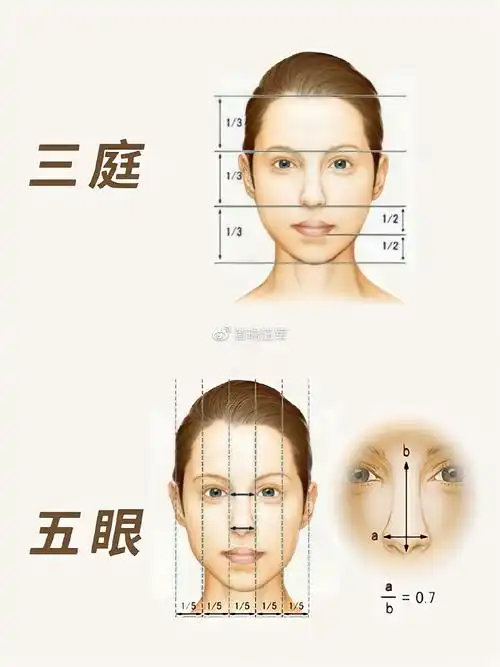 三庭五眼比例
