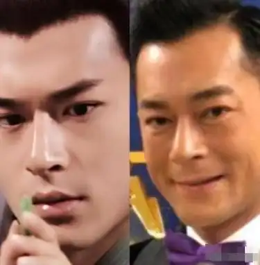 满脸"科技与狠活"!忍了古天乐和陈浩民,看到毛宁我笑了