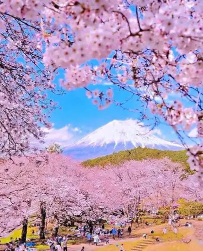 2021年写给春天的句子,唯美温柔,一见倾心