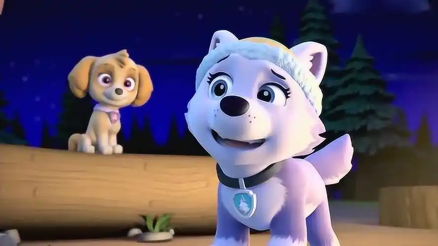 汪汪队立大功:珠珠每时每刻都这么饿,这是为什么?