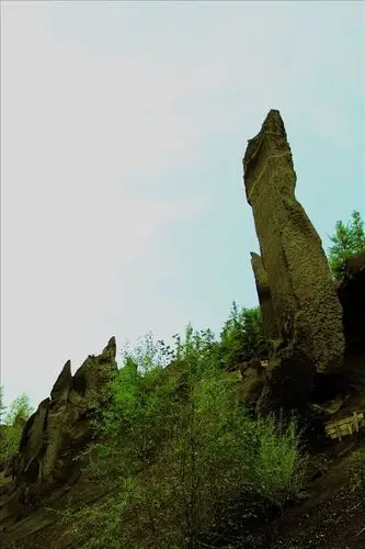 标题:峡谷浮石林