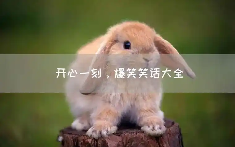 一个幽默搞笑爆笑笑话段子网站-爱笑百科