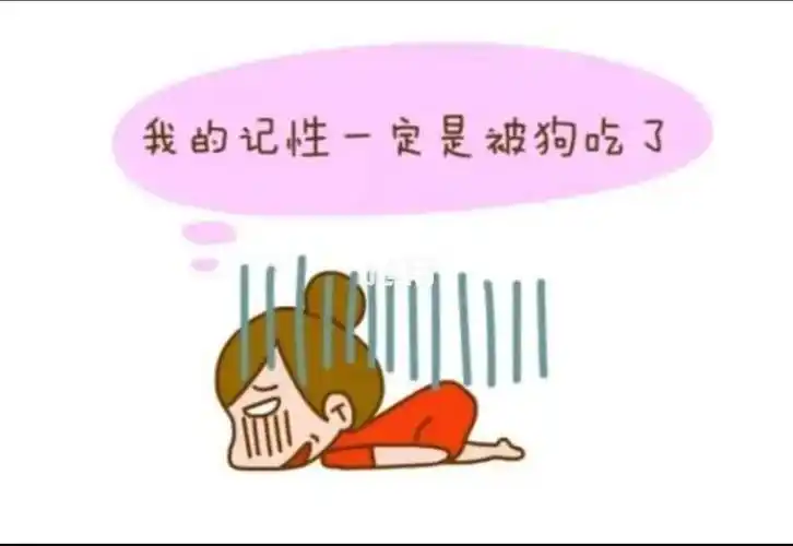 最近真的是忙傻了,大脑都更不上行动了,老干傻事!