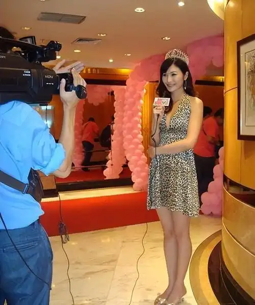 东方卫视杨蕾气质温婉优雅离婚后一直单身她不再相信爱情了