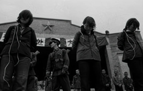 1983年严打42岁女子因流氓罪被枪毙300多人卷入此案