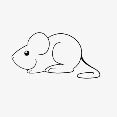 可爱的小老鼠简笔画画法步骤图片72=9画一只可爱的小老鼠简笔画你也