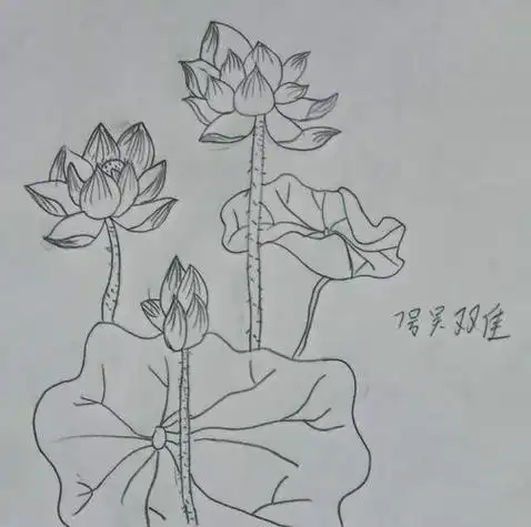 初中美术作品简笔画