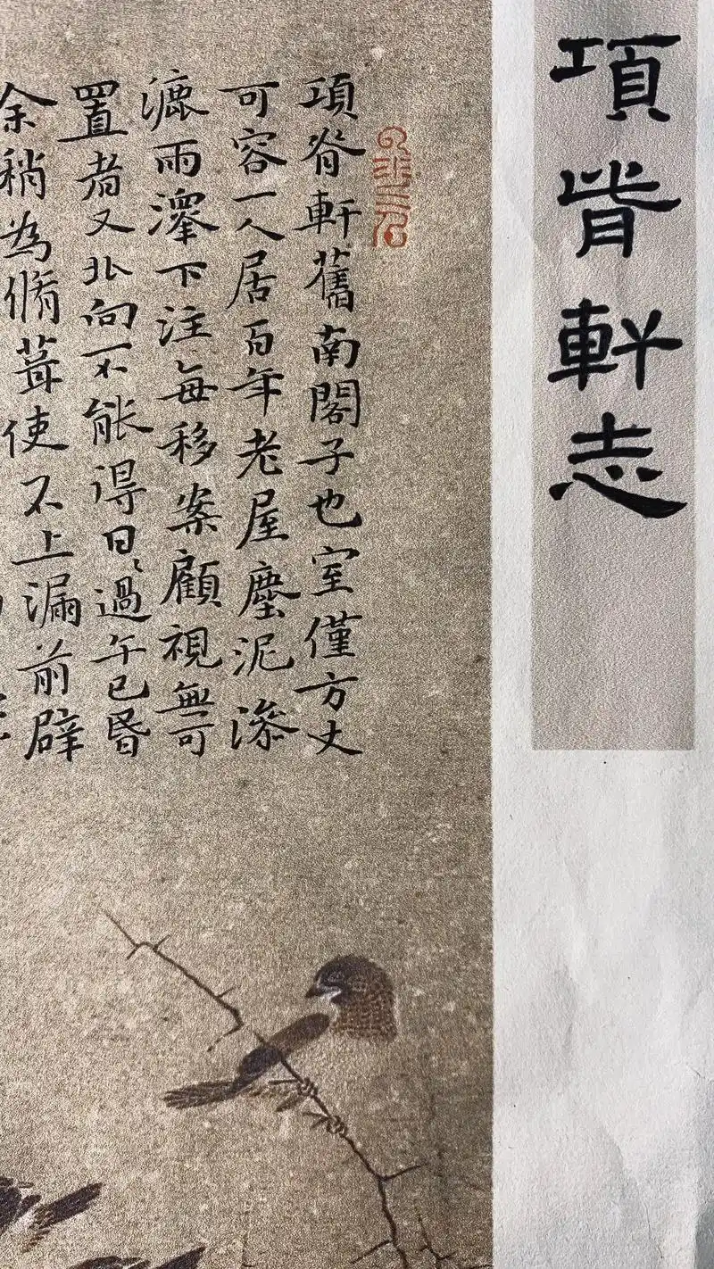 明代·归有光《项脊轩志》哪一句最令你感动#硬笔书法 #手写  - 抖音