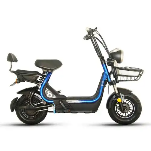 比德文电瓶车锂电池电动车电动自行车魔王pro 可取充电tdt1819z 马赫