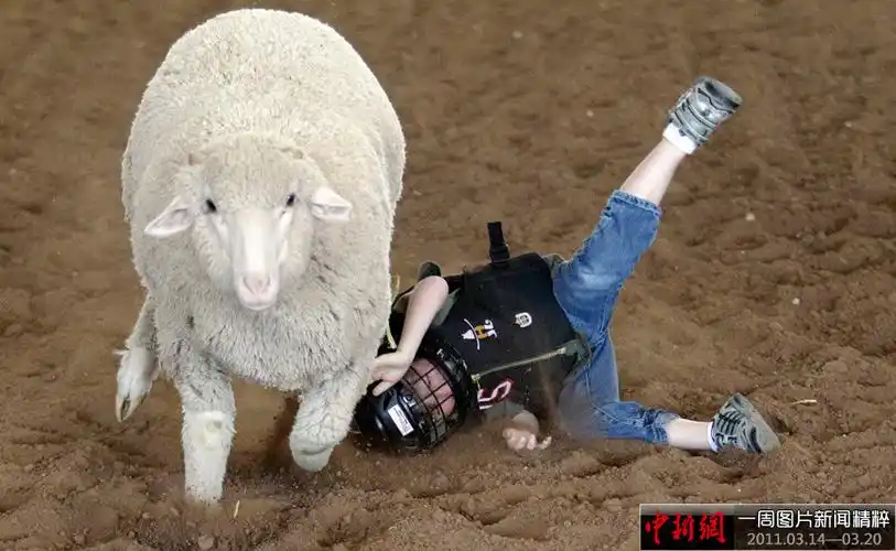 中新网一周新闻图片精粹