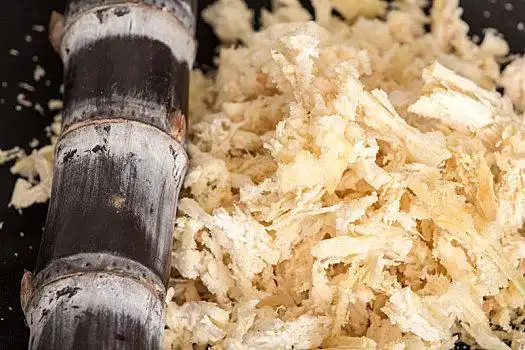 甘蔗图片_甘蔗高清图片大全_甘蔗图片素材