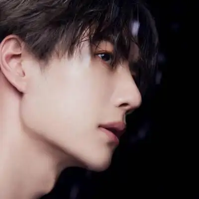 肖战王一博头像情头