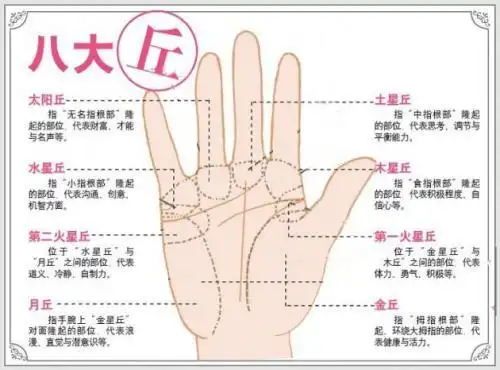 简单看女人手相手指在手相学里占了一个很重要的位置,现在我把种