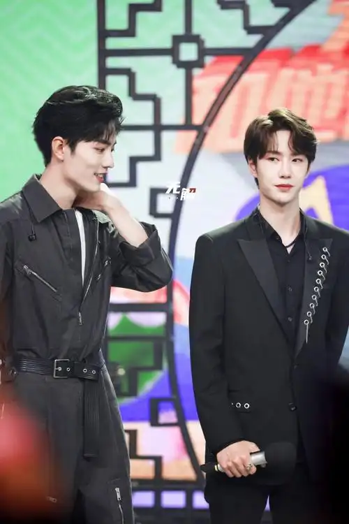 肖战王一博 天天向上