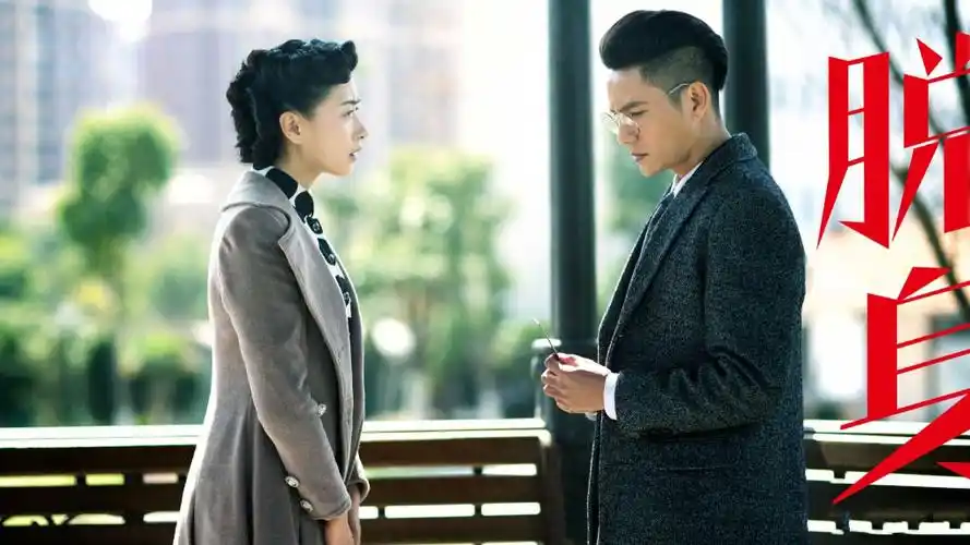 电视剧《脱身》最新剧照图片