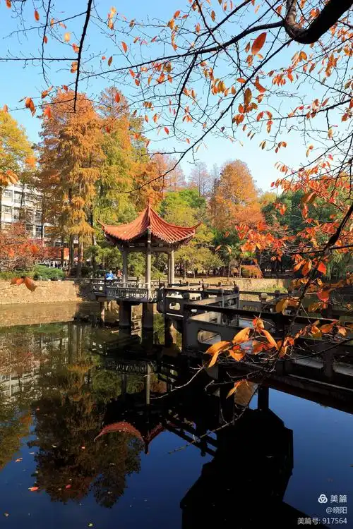 初冬-赏武汉大学校园