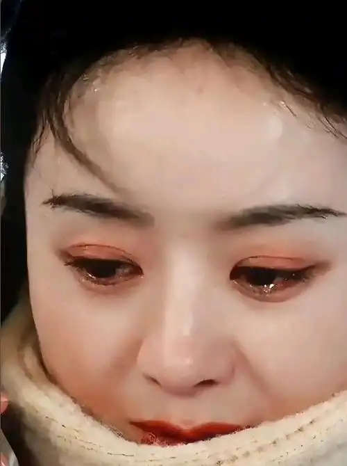 本以为赵丽颖在《第二十条》中的哭戏已足够震撼人心,然而看了《与凤