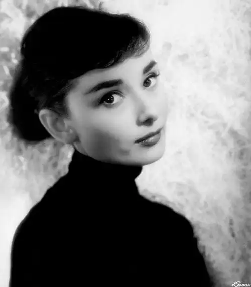 赫本头像复古__堆糖美图壁纸兴趣社区