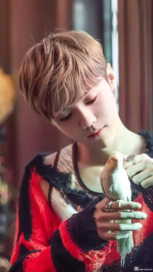 明星:鹿晗的帅照 - 娱乐八卦 - 深圳论坛