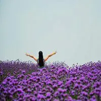 浪漫花海少女背影头像_微信头像图片大全
