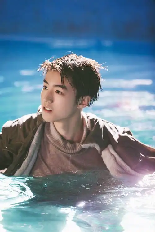 此前,王俊凯已经在众多影视作品中有过不错的成绩,但是此次挑战的角色