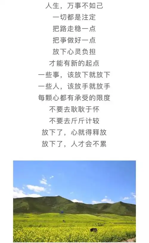 【周末品读】有一种释怀叫放下