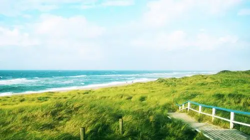 油画质感芦苇海浪风景背景ppt模板