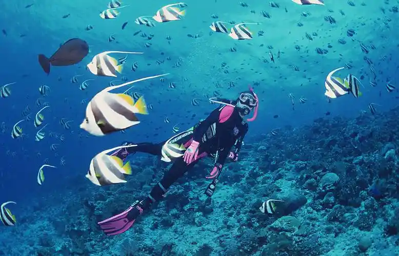 夏天水里浪,高性价比潜水表怎么选