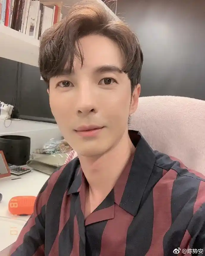 陈势安陈势安的日常