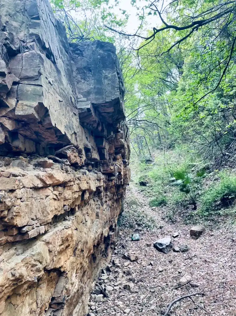 虞山新晋网红地,断肠崖绝情谷.油桐花开的季节 - 抖音