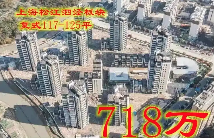 上海松江泗泾板块复式住宅9号线地铁口.松江住宅品质天花板   - 抖音