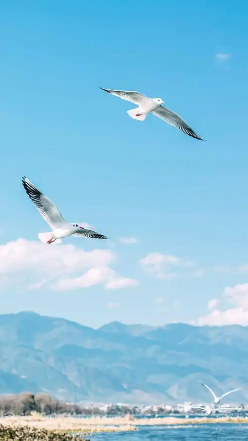 治愈天空颜色高清手机壁纸,风景,唯美,高清,天空,摄影,治愈系,手机