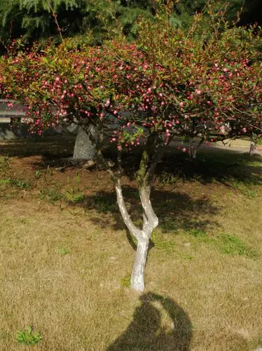 __焱火的相册_poco空间_poco网(poco.cn)