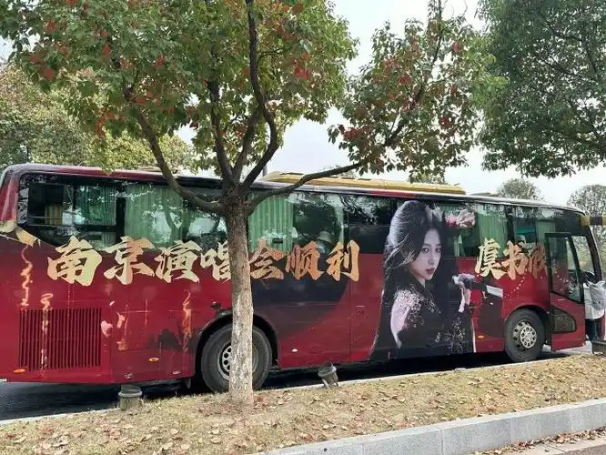 虞书欣云为衫演唱会应援