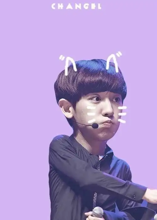 exo 朴灿烈 桌面一枚