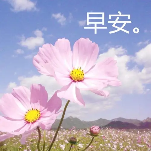 早安问候语唯美图片大全2